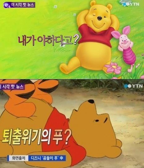 폴란드 시의회 곰돌이 푸 퇴출. 사진｜방송캡처