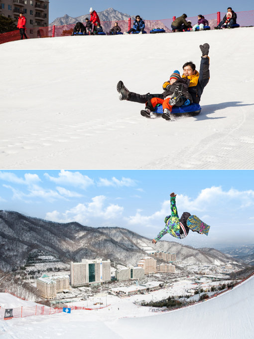 비발디파크 스키월드의 전경(맨위 사진)과 어린 자녀와 함께 즐길 수 있는 눈썰매장.