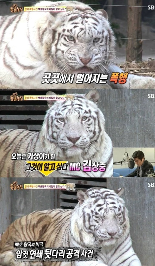 동물농장 김상중. 사진=‘동물농장 김상중’ 방송캡처