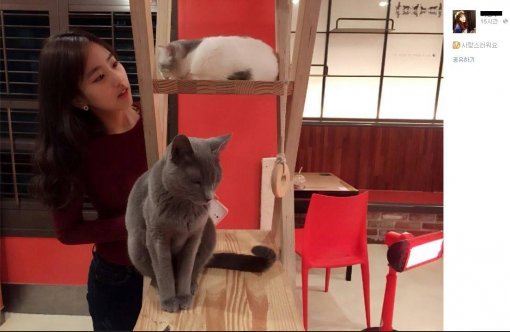 민속촌 구미호 알바, 사진|한국민속촌 페이스북북