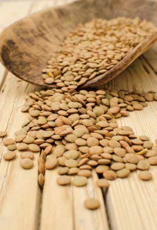 출처= 동아일보 DB