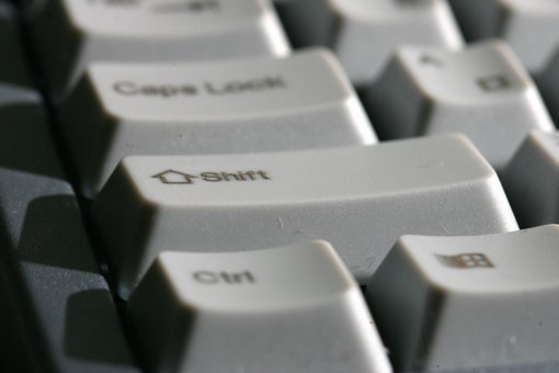 출처= 동아닷컴 DB