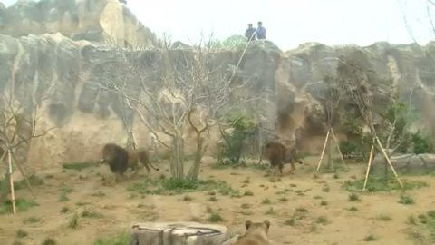 어린이대공원 사육사.