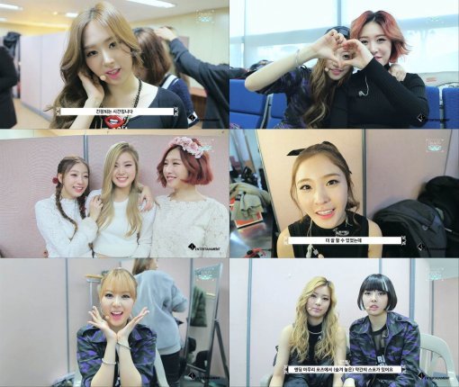 소나무, 사진｜TS엔터테인먼트