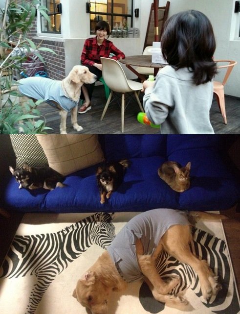 사진= 구혜선 SNS