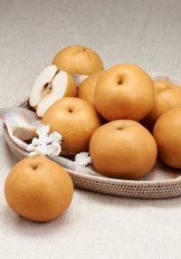 출처= 동아일보 DB