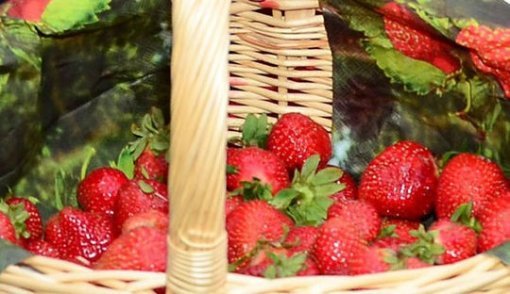 출처= 동아닷컴 DB