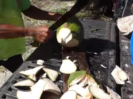 출처= 유튜브 캡처