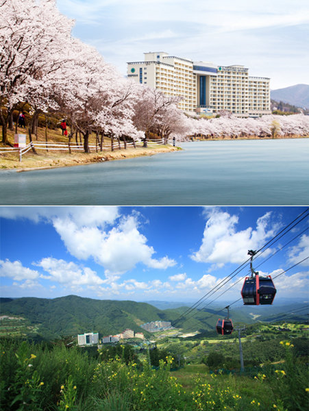 대명 리조트-대명 비발디 파크(아래)