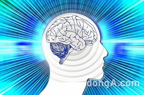 출처= 동아닷컴 DB