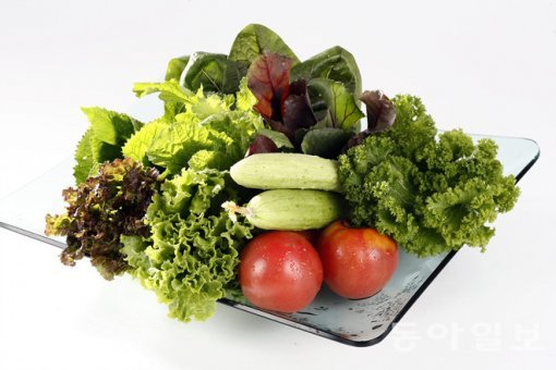 출처= 동아닷컴 DB