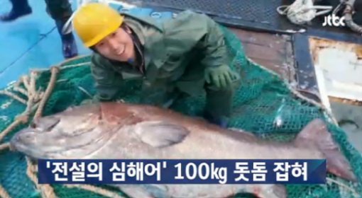 ‘전설의 심해어 돗돔’/사진= JTBC 캡처