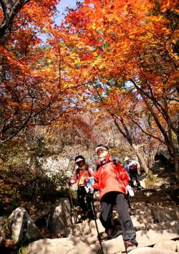 출처= 스포츠동아 DB