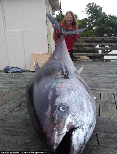 출처= 영국 데일리메일 캡처