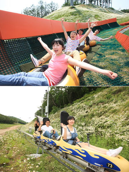 터비썰매-알파인코스터(아래)