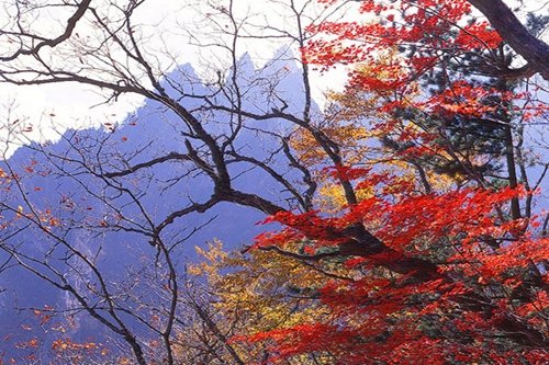 ‘지리산 정규 탐방로 개방’/동아닷컴DB