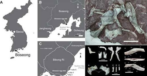 한반도 거대 도마뱀 화석 발견. 사진=‘한반도 거대 도마뱀 화석 발견’ 백악기 연구