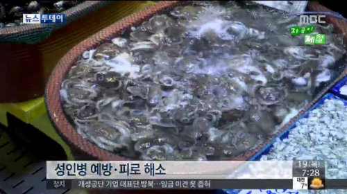 사진= MBC 뉴스 캡처, ‘타우린이란’