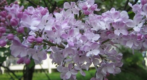 출처= 유투브 캡처