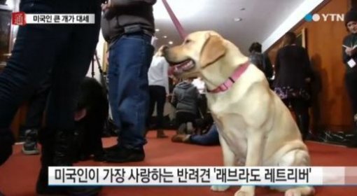 사진= YTN 방송화면 캡처