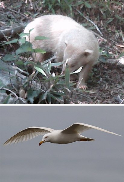 출처= 국립공원관리공단 제공