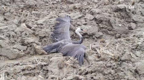 출처= YTN 뉴스 캡처