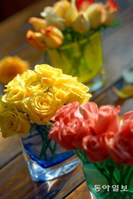 출처= 동아일보 DB