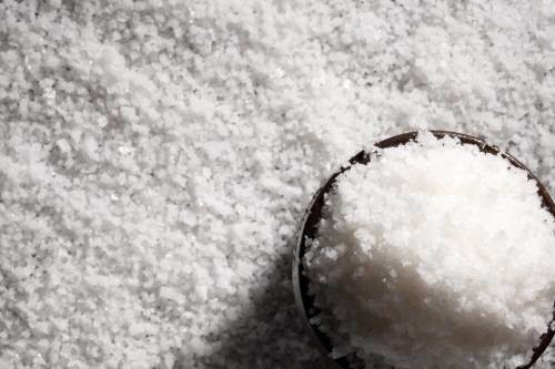 출처= 동아닷컴 DB