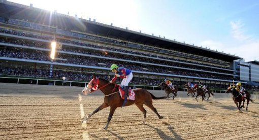 17일 서울 렛츠런파크에서 열린 제 18회 코리안더비에서 ‘영천에이스’(기수 최시대)가 우승을 차지했다.