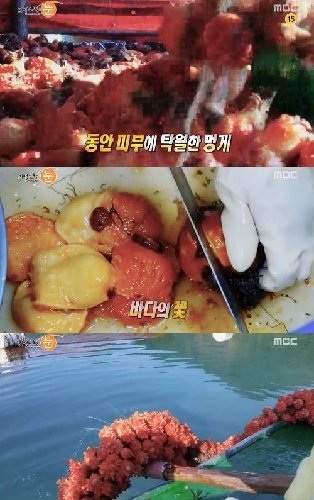 출처= MBC ‘리얼스토리 눈’ 방송 캡처