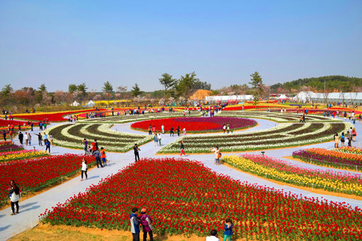 사진제공= 태안군, ‘5월 전국 축제 정보’