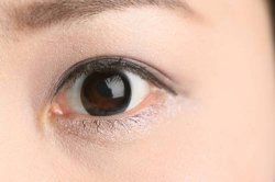 사진= 동아닷컴DB