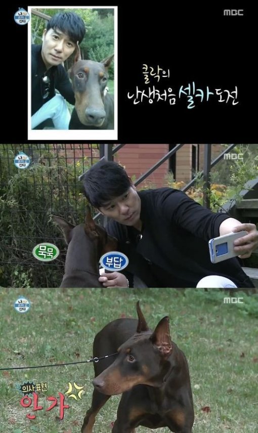 출처= MBC ‘나 혼자 산다’ 방송 캡처