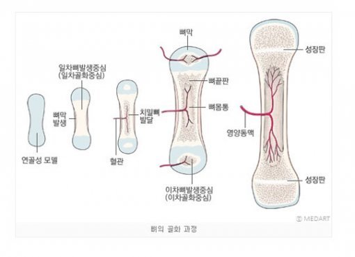 사진= 서울대학교 병원 캡처
