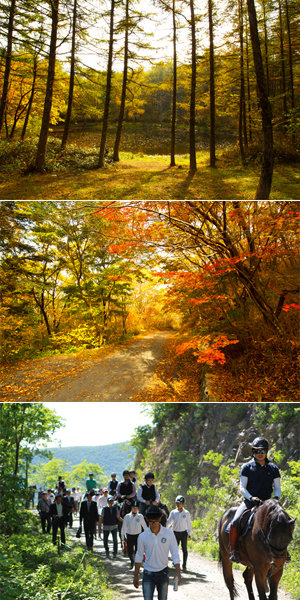 도롱이연못-단풍 물든 길-산악승마 (맨 위쪽부터)