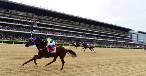 제12회 대통령배 대상경주가 오는 18일 렛츠런서울에서 제7경주로 열린다. 우승상금 3억8500만원을 쥘 후보로는 ‘록밴드’ ‘트리플나인’ ‘영천에이스’가 꼽히고 있다. 사진은 지난 7월19일 농림부장관배에서 우승한 ‘록밴드’. 사진제공｜한국마사회