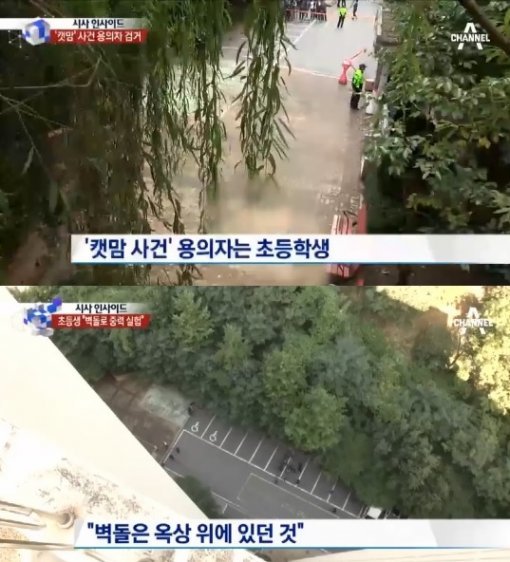 ‘캣맘 사건 용의자’ 초등학생, 촉법소년이란?