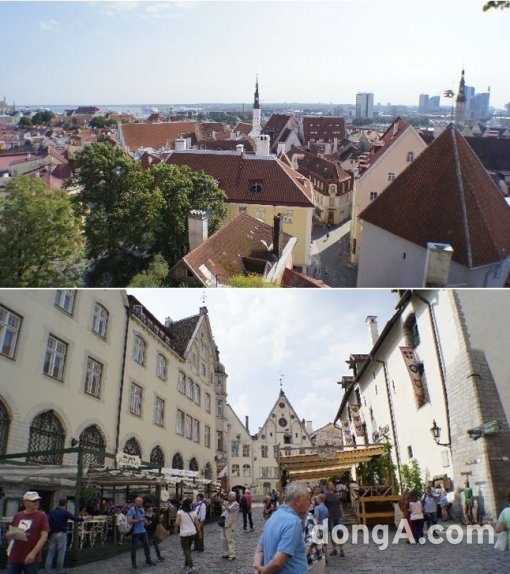 사진제공｜송인근