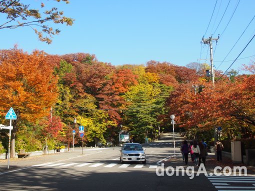 센슈공원 입구. 동아닷컴 이혜성 기자 luvcomet@donga.com