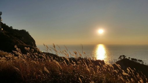 만재도 뒷 산(?)에서 본 해질녘 풍경. 아…나는 이걸 보기 위해 만재도로 보내졌구나