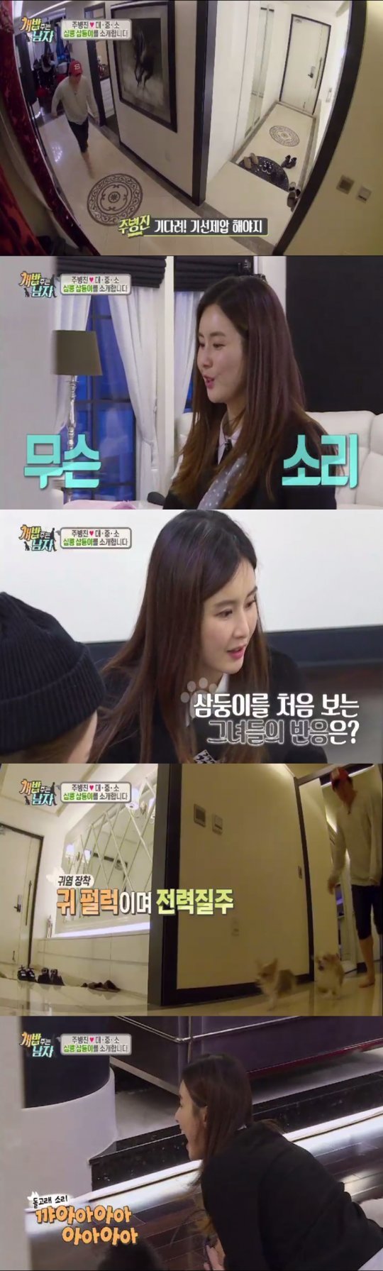 사진│채널A ‘개밥 주는 남자’ 캡처