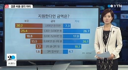 사진=결혼에 2억7000만원 필요. YTN 화면 캡쳐