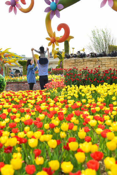 17일부터 시작하는 용인 에버랜드의 ‘튤립축제’. 100여종 120만 송이에 달하는 튤립이 화사하게 피는 장관을 볼 수 있다. 튤립축제 외에 광앙 매화축제, 구례 산수유축제 등이 봄철 꽃축제로 3월에 열린다. 사진제공|에버랜드