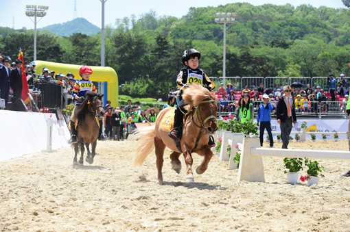 지난해 어린이날 열린 유소년 승마 트랙경기. 한국마사회는 올해도 5월5일 어린이날을 맞아 유소년 승마대회 등 국내 최대 어린이 승마축제를 연다.