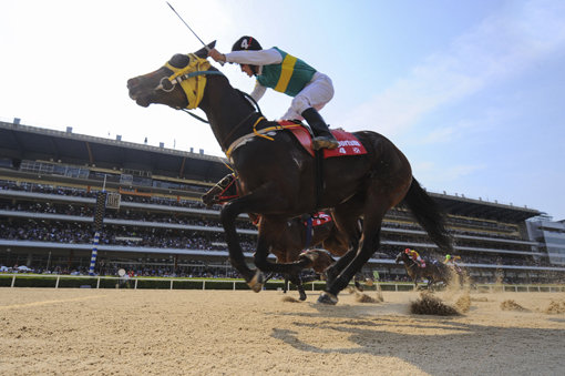 페르디도 포머로이