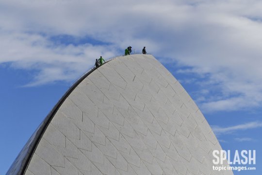 사진|TOPIC / Splash News