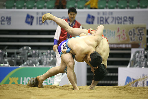 새롭게 탈바꿈한 2016추석장사씨름대회가 ‘씨름의 성지’로 불리는 장충체육관에서 5년 만에 펼쳐진다. 13일부터 18일까지 열릴 이번 대회 내내 무료로 입장할 수 있다. 사진제공|통합씨름협회