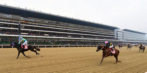 한국마사회가 우수한 국산마를 일찍 배출하고 경쟁력을 강화해 우리 말산업과 한국경마의 성장을 이끌겠다며 국산 저연령마 경주 중장기계획을 내놓았다. 지난해 11월29일 한국최강 2세마를 가리는 브리더스컵 경주에서 한국대표 삼관마 파워블레이드가 역주하고 있다. 사진제공|한국마사회