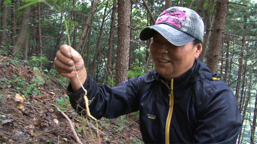 사진제공|채널A