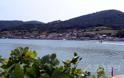 구룡마을의 옛 이름은 ‘구룡금’이다. 마을 연못에서 아홉 마리의 용이 승천했다는 설화가 내려온다. 마을의 9개 계곡을 위에서 내려다보면 꼭 용처럼 보이기도 한다. 시호도에서 바라본 구룡마을의 모습이 잔잔한 바다만큼이나 평온하다. 고흥(전남)| 김진환 기자 kwangshin@donga.com